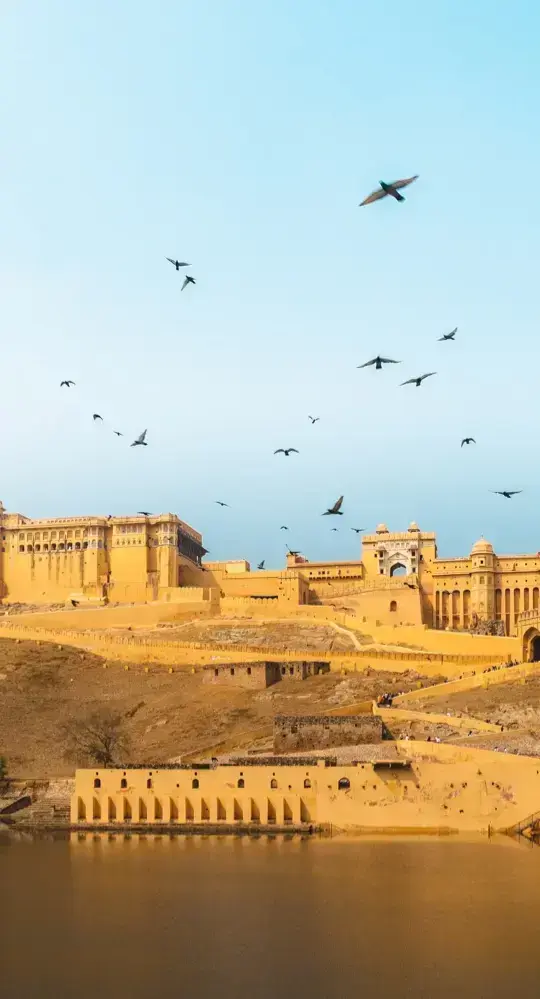 Main Banner Image 1